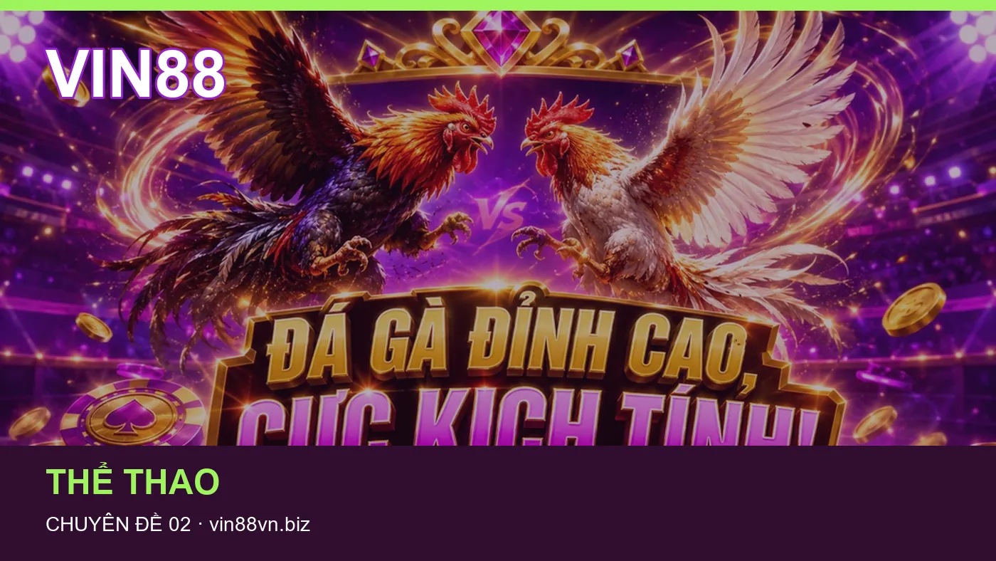 Hỏi đáp về Tải app: quy trình tự kiểm tra trên VIN88